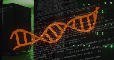 Sunucu odasındaki veri işleme ve DNA iplikçiklerinin resmi. Küresel iş ve dijital arayüz kavramı dijital olarak oluşturulmuş görüntü.