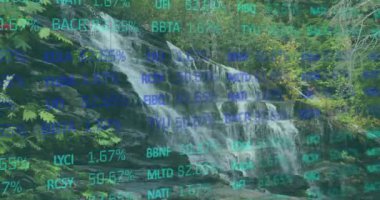 Ormandaki şelalenin borsa verilerini canlandırmak. Finans, doğa, çevre, görselleştirme, teknoloji, analitik