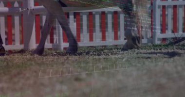 Parktaki çimlerin üzerinde yürüyen insanları gösteren finansal veri tabloları. Finans, animasyon, grafikler, açık hava, iş