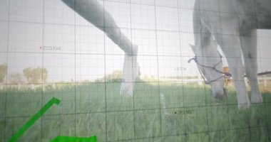 Yeşil Finansal Büyüme Çizelgesi çimenli alanda yürüyen kişi üzerine. Sürdürülebilirlik, finans, doğa, ilerleme, çevre, yatırım