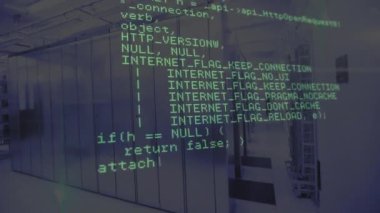 Sunucu odası arka planında sıralı sunucularla bilgisayar kodu canlandırması. Teknoloji, veri merkezi, ağ, programlama, siber güvenlik, veritabanı