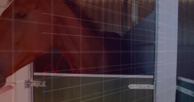 Ahırdaki atın mali grafiğini canlandırıyorum. Finans, animasyon, teknoloji, iş, yatırım, veri