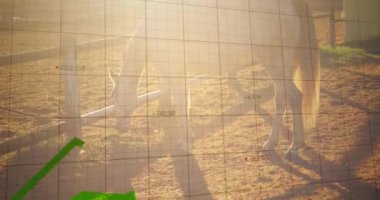 Güneşli arazide at otlatma üzerine yeşil finansal grafik animasyonu. Finans, büyüme, yatırım, tarım, sürdürülebilirlik, doğa