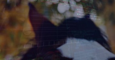 Borsa verileri ve grafik animasyonları hayvan gözünün yakın çekimine göre. Finans, yatırım, ticaret, teknoloji, analitik, farkındalık