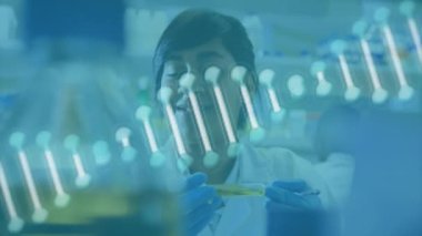 Laboratuvarda çalışan çift ırklı kadın bilim adamının DNA 'sının animasyonu. Küresel bilim, tıp ve dijital arayüz kavramı dijital olarak üretilen video.