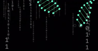 DNA iplikçiklerinin animasyonu ve kara arkaplandaki veri işleme üzerindeki bağlantıların Newtork 'u. Küresel bilim, tıp, bilgisayar ve dijital arayüz kavramı dijital olarak oluşturulmuş video.