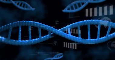 DNA iplikçikleri üzerinde bilimsel veri işleme animasyonu. Küresel bilim, bağlantılar, hesaplama ve veri işleme kavramı dijital olarak oluşturulmuş video.
