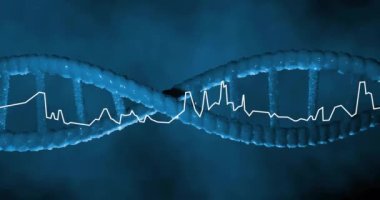 DNA iplikçikleri üzerinde dijital veri işleme animasyonu. Küresel bilim, bağlantılar, hesaplama ve veri işleme kavramı dijital olarak oluşturulmuş video.