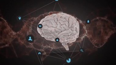 DNA ipliği ve insan beyni üzerindeki ikonlarla olan bağlantı ağının animasyonu. Küresel bilim, bağlantılar, hesaplama ve veri işleme kavramı dijital olarak oluşturulmuş video.