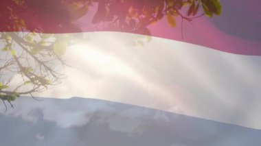 Çift ırklı çiftin kucaklaşması ve öpüşmesi üzerine Hollanda bayrağının canlandırılması. Yaşam tarzı, bayraklar ve vatanseverlik konsepti dijital olarak oluşturulmuş video.