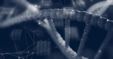 DNA iplikçikleri üzerinde bilimsel veri işleme animasyonu. Küresel bilim, bağlantılar, hesaplama ve veri işleme kavramı dijital olarak oluşturulmuş video.