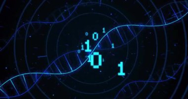 DNA iplikçiklerinin animasyonu ve dijital veri işleme ikili kodlaması. Küresel bilim, bağlantılar, hesaplama ve veri işleme kavramı dijital olarak oluşturulmuş video.
