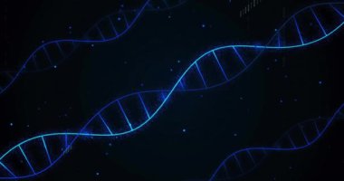 DNA iplikçiklerinin animasyonu ve dijital veri işleme ikili kodlaması. Küresel bilim, bağlantılar, hesaplama ve veri işleme kavramı dijital olarak oluşturulmuş video.