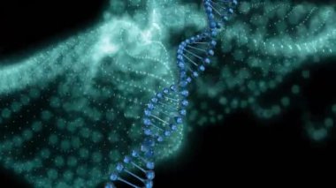 DNA iplikçiklerinin animasyonu ve bağlantı ağı ile parlayan ağ. Küresel bilim, bağlantılar, hesaplama ve veri işleme kavramı dijital olarak oluşturulmuş video.