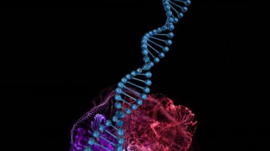 DNA iplikçiklerinin animasyonu ve bağlantı ağı ile parlayan ağ. Küresel bilim, bağlantılar, hesaplama ve veri işleme kavramı dijital olarak oluşturulmuş video.