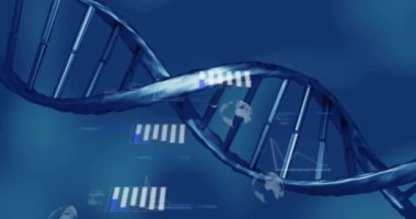 DNA iplikçikleri üzerinde bilimsel veri işleme animasyonu. Küresel bilim, bağlantılar, hesaplama ve veri işleme kavramı dijital olarak oluşturulmuş video.