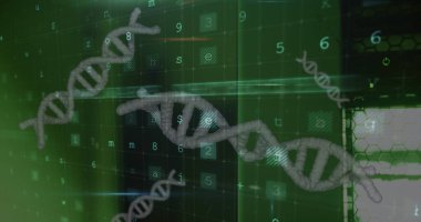 Veri işleme ve DNA iplikçiklerinin dönmesi. Küresel bilim, tıp ve sağlık hizmetleri kavramı dijital olarak üretilen görüntü.