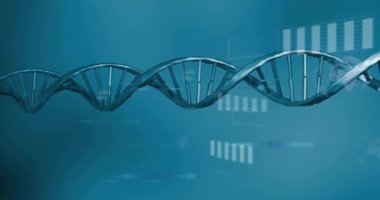 DNA iplikçikleri üzerinde bilimsel veri işleme animasyonu. Küresel bilim, bağlantılar, hesaplama ve veri işleme kavramı dijital olarak oluşturulmuş video.