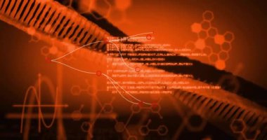 Turuncu arka planda DNA iplikçiklerinin dönmesi ve veri işleme animasyonu. Küresel bilim, bağlantılar, hesaplama ve veri işleme kavramı dijital olarak oluşturulmuş video.