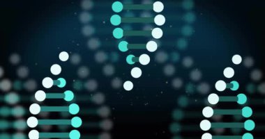 Siyah arka planda hareket eden DNA iplikçiklerinin canlandırması. Bilim, kalıp ve dijital arayüz konsepti dijital olarak oluşturulmuş video.