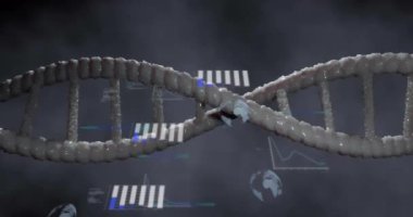 DNA iplikçikleri üzerinde bilimsel veri işleme animasyonu. Küresel bilim, bağlantılar, hesaplama ve veri işleme kavramı dijital olarak oluşturulmuş video.