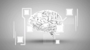 Gri arka planda bilgisayar devresi olan dijital beyin animasyonu. İş, finans, bilgisayar ve dijital arayüz kavramı dijital olarak oluşturulmuş video.