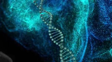 DNA iplikçiklerinin animasyonu ve bağlantı ağı ile parlayan ağ. Küresel bilim, bağlantılar, hesaplama ve veri işleme kavramı dijital olarak oluşturulmuş video.