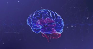 Dijital beyin üzerindeki simgelerle bağlantı ağının animasyonu. Bilim ve dijital arayüz kavramı dijital olarak oluşturulmuş video.