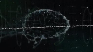 DNA ipliği ve insan beyni üzerinde veri işleme animasyonu. Küresel bilim, bağlantılar, hesaplama ve veri işleme kavramı dijital olarak oluşturulmuş video.