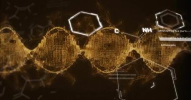 Bilimsel veri işlemenin animasyonu ve siyah arkaplan üzerinde DNA ipliği. Küresel bilim, veri işleme, bağlantılar, hesaplama ve veri işleme kavramı dijital olarak oluşturuldu.