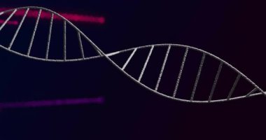 Siyah arka plandaki renkli ışık yollarının üzerindeki DNA iplikçiklerinin animasyonu. Küresel bilim, teknoloji, hesaplama ve dijital arayüz kavramı dijital olarak oluşturulmuş video.