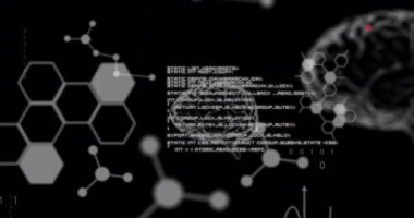 Bilimsel veri işleme ve insan beyninin animasyonu. Küresel bilim, bağlantılar, hesaplama ve veri işleme kavramı dijital olarak oluşturulmuş video.