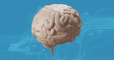 Dijital beyin görüntüsü. Teknoloji, ai ve dijital arayüz kavramı dijital olarak oluşturuldu.