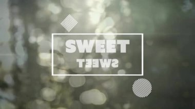 Ağaçların ve ışıkların üzerindeki tatlı yazıtların animasyonu. Şekiller, ışık, hareket, iletişim ve dijital arayüz kavramı dijital olarak oluşturulmuş video.