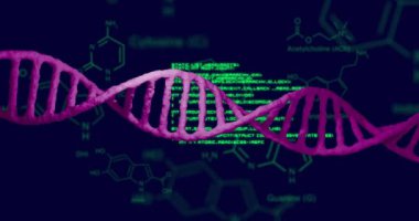 Bilimsel veri işleme ve DNA iplikçiklerinin karanlık arka planda canlandırılması. Küresel bilim, bağlantılar, hesaplama ve veri işleme kavramı dijital olarak oluşturulmuş video.