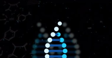 Siyah arka planda dönen DNA ipliği üzerinde dijital veri işleme animasyonu. Dijital olarak oluşturulmuş küresel bağlantılar, hesaplama ve veri işleme kavramı.