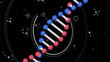 DNA ipliği üzerinde bilimsel veri işleme animasyonu. Küresel bilim, bağlantılar, hesaplama ve veri işleme kavramı dijital olarak oluşturulmuş video.