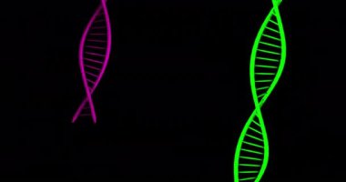 Siyah arka planda DNA iplikçiklerinin canlandırılması. Küresel bilim, bağlantılar, hesaplama ve veri işleme kavramı dijital olarak oluşturulmuş video.