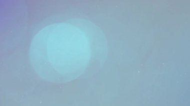 Gri arkaplanda ışık lekeleri üzerinde kar animasyonu. Işık, şablon ve arkaplan kavramı dijital olarak oluşturulmuş video.