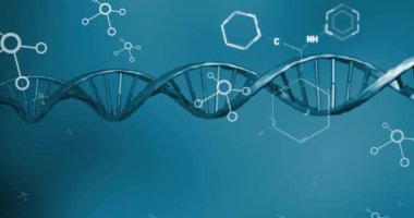 Mavi arkaplan üzerinde DNA ipliği ve bilimsel veri işleme animasyonu. Küresel bilim, bağlantılar, hesaplama ve veri işleme kavramı dijital olarak oluşturulmuş video.