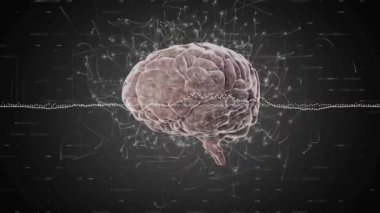Veri işleme ve beyin üzerindeki ışık izlerinin animasyonu. Teknoloji, bilim ve dijital arayüz kavramı dijital olarak oluşturulmuş video.
