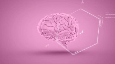 Pembe arka planda insan beyni üzerinde bilimsel veri işleme animasyonu. Küresel bilim, bağlantılar, hesaplama ve veri işleme kavramı dijital olarak oluşturulmuş video.