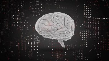 Beyinde hareket eden beyaz noktaların animasyonu. Teknoloji, bilim ve dijital arayüz kavramı dijital olarak oluşturulmuş video.