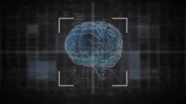 Beyin üzerinde tarama yapan veri işleme ve dürbünün animasyonu. Teknoloji, bilim ve dijital arayüz kavramı dijital olarak oluşturulmuş video.