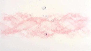 DNA iplikçiklerinin animasyonu ve beyaz zemine su damlaları. Küresel bilim, bağlantılar, hesaplama ve veri işleme kavramı dijital olarak oluşturulmuş video.
