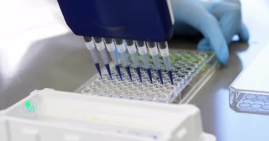 Laboratuvarda bilim adamının üzerinde ekolojik ikonların ve veri işlemenin animasyonu. Küresel çevre, bilim, bağlantılar, hesaplama ve veri işleme kavramı dijital olarak oluşturulmuş video.