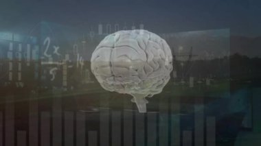İnsan beyni üzerinde finansal veri işleme animasyonu. Dijital olarak oluşturulmuş küresel yapay zeka, bağlantılar, hesaplama ve veri işleme kavramı.