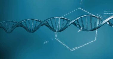 DNA ipliği ve veri işleme animasyonu. Küresel bilim, bağlantılar, hesaplama ve veri işleme kavramı dijital olarak oluşturulmuş video.
