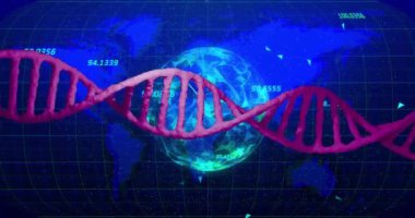 DNA ipliği, küre ve veri işleme animasyonu. Küresel bilim, bağlantılar, hesaplama ve veri işleme kavramı dijital olarak oluşturulmuş video.