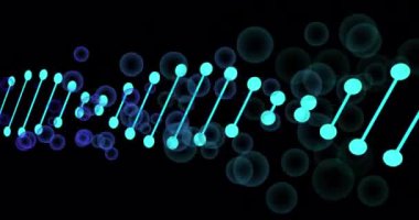 Siyah arka plandaki baloncukların üzerindeki DNA iplikçiklerinin animasyonu. Bilim, kimya, teknoloji, hesaplama ve dijital arayüz kavramı dijital olarak oluşturulmuş video.